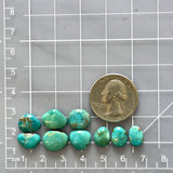 Small Deep Green Freeform Fox Turquoise, Set of 9 Dimensions