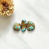 Medium Sky Blue Freeform Royston Turquoise, Set of 3 Background