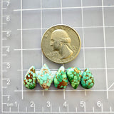Small Sea Green Mixed Namtso Lake Turquoise, Set of 5 Dimensions