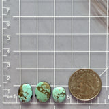 Small Mint Green Oval Kingman Turquoise, Set of 3 Dimensions