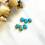 Small Mixed Mixed Yungai Turquoise, Set of 6 Background