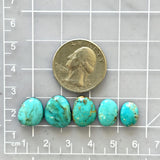 Small Sky Blue Mixed Kingman Turquoise, Set of 5 Dimensions