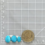 Small Sky Blue Freeform Sleeping Beauty Turquoise, Set of 3 Dimensions