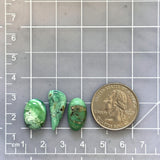 Small Sea Green Mixed Crescent Lake Variscite, Set of 3 Dimensions