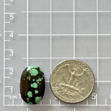 Sea Green Treasure Mountain Turquoise Nugget Beads Dimensions