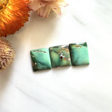 Small Sea Green Bar Crescent Lake Variscite, Set of 3 Background