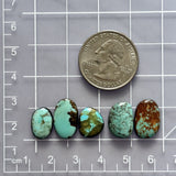 Small Mint Green Mixed Fox Turquoise, Set of 5 Dimensions