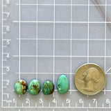 Small Mixed Mixed Pilot Mountain Turquoise, Set of 4 Dimensions