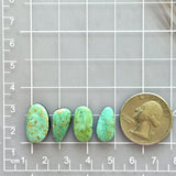 Medium Mint Green Mixed Number 8 Turquoise, Set of 4 Dimensions