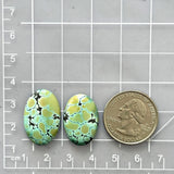 Medium Mint Green Oval Treasure Mountain Turquoise, Set of 2 Dimensions