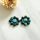 Small Mixed Mixed Yungai Turquoise, Set of 18 Background