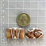 Medium Red Mixed White Buffalo Dolomite, Set of 4 Dimensions