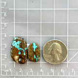 Large Sky Blue Freeform Royston Turquoise, Set of 2 Dimensions