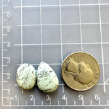 Medium Faint Green Mixed Crescent Lake Variscite, Set of 2 Dimensions