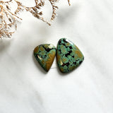 Large Earth Brown Mixed Treasure Mountain Turquoise, Set of 2 Background