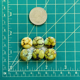 Small Mixed Round Mixed Turquoise, Set of 6 Dimensions