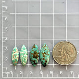 Small Mixed Freeform Namtso Lake Turquoise, Set of 4 Dimensions