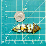 Medium Mixed Mixed Mixed Turquoise, Set of 4 Dimensions