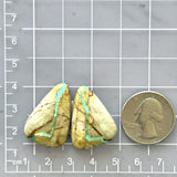 Large Faint Green Freeform Royston Turquoise, Set of 2 Dimensions