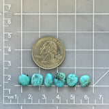 Small Sky Blue Mixed Kingman Turquoise, Set of 6 Dimensions