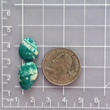 Small Ocean Blue Freeform Fox Turquoise, Set of 2 Dimensions
