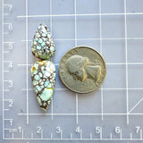 Medium Faint Blue Teardrop New Lander Variscite, Set of 2 Dimensions