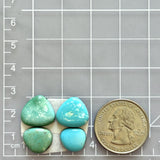 Medium Mixed Freeform Royston Turquoise, Set of 4 Dimensions