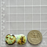 Medium Mint Green Round Treasure Mountain Turquoise, Set of 2 Dimensions