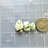 Medium Faint Blue Mixed Crescent Lake Variscite, Set of 3 Dimensions