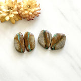 Medium Mint Green Freeform Royston Turquoise, Set of 4 Background