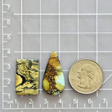 Large Royal Orange Mixed Golden Birch Turquoise, Set of 2 Dimensions