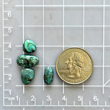 Small Deep Green Mixed Crescent Lake Variscite, Set of 4 Dimensions