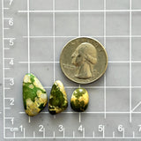 Medium Deep Green Freeform Royston Turquoise, Set of 3 Dimensions