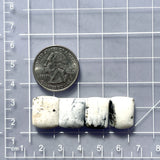 Medium White Barrel White Buffalo Dolomite, Set of 4 Dimensions
