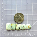 Small Faint Green Barrel Crescent Lake Variscite, Set of 5 Dimensions