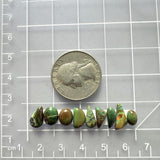 Small Sea Green Mixed Mixed Turquoise, Set of 9 Dimensions