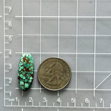 Large Bamboo Green Oval Namtso Lake Turquoise Dimensions