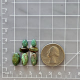Small Sea Green Oval Tyrone Turquoise, Set of 7 Dimensions