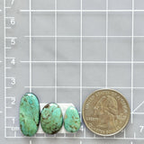 Medium Mint Green Mixed Crescent Lake Variscite, Set of 3 Dimensions
