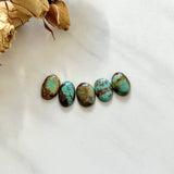 Small Mixed Oval Tyrone Turquoise, Set of 5 Background