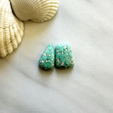 Medium Mint Green Mixed Namtso Lake Turquoise, Set of 2 Background