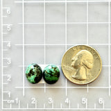 Small Sea Green Oval Crescent Lake Variscite, Set of 2 Dimensions