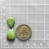 Small Sea Green Teardrop Treasure Mountain Turquoise, Set of 2 Dimensions