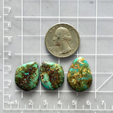 Medium Sea Green Mixed Number 8 Turquoise, Set of 3 Dimensions