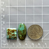 Medium Sea Green Mixed Treasure Mountain Turquoise, Set of 2 Dimensions