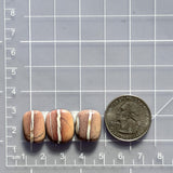 Medium Red Freeform White Buffalo Dolomite, Set of 3 Dimensions