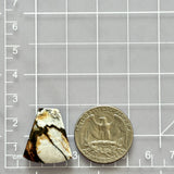 Large Purple Petal Purple Lavender Variscite Dimensions