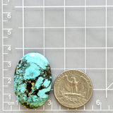 Large Sky Blue Oval Wild Horse Turquoise Dimensions