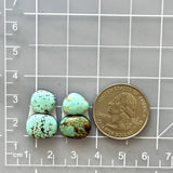 Small Faint Blue Freeform Number 8 Turquoise, Set of 4 Dimensions