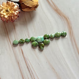 Small Lime Green Mixed Sonoran Gold Turquoise, Set of 12 Background